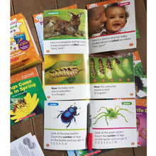 Load image into Gallery viewer, Scholastic Nonfiction Sight Word Readers (Levels A to D)