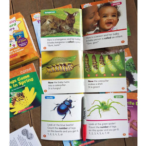 Scholastic Nonfiction Sight Word Readers (Levels A to D)