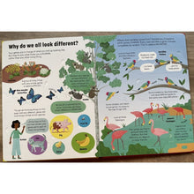 Load image into Gallery viewer, An Usborne Flap Book: See Inside Genes and DNA (brand new board book with flaps, with slight dents and folds on the book cover)