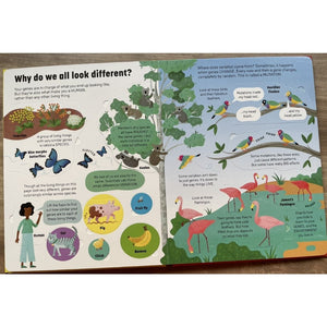 An Usborne Flap Book: See Inside Genes and DNA (brand new board book with flaps, with slight dents and folds on the book cover)