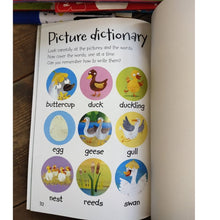 Load image into Gallery viewer, Reading with Phonics 20 books (with box)