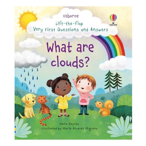 What are Clouds? (Lift the Flap First Questions and Answers) board book