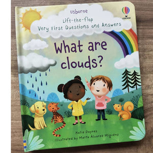 What are Clouds? (Lift the Flap First Questions and Answers) board book