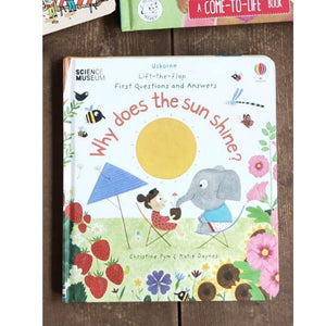 Usborne Why Does the Sun Shine (Lift-the-Flap First Q & A) Board book Brand new