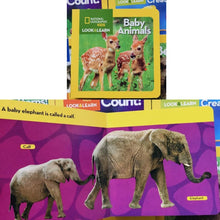 Load image into Gallery viewer, National Geographic Children&#39;s Books LOOK AND LEARN 12 books board (box set)