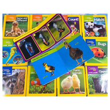 Load image into Gallery viewer, National Geographic Children&#39;s Books LOOK AND LEARN 12 books board (box set)