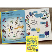 Load image into Gallery viewer, An Usborne Flap Book: See Inside Genes and DNA (brand new board book with flaps, with slight dents and folds on the book cover)