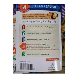 Step Into Reading Level 4 (27 books)